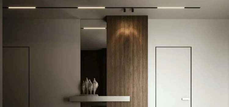 ما هو الضوء المغناطيسي؟
